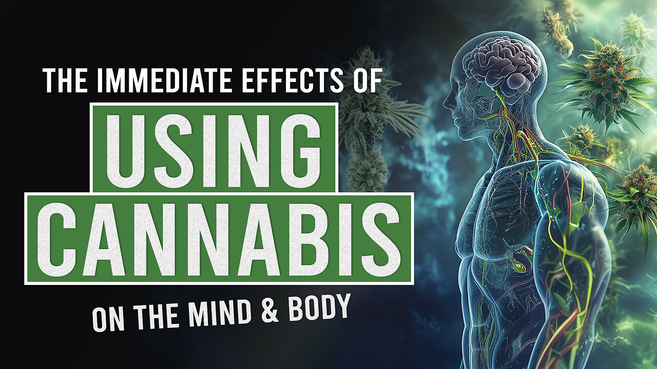 What Happens to Your Body when you Use Cannabis