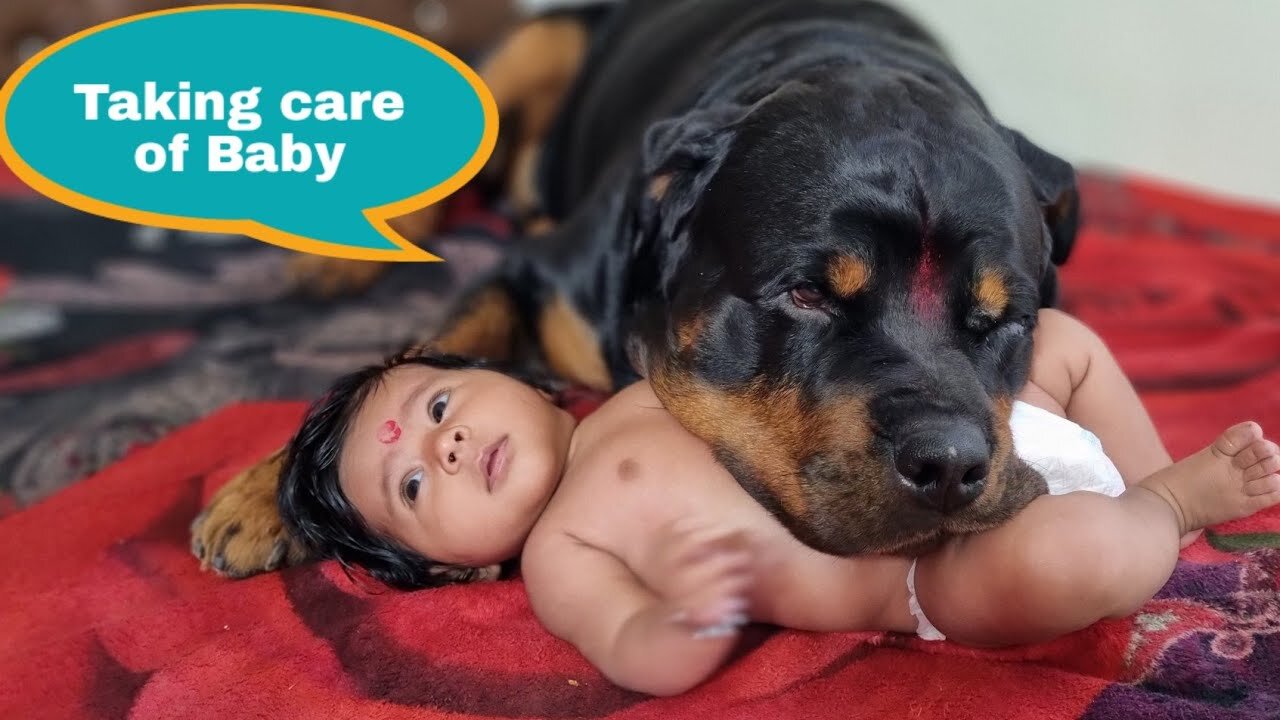 Jerry and Aaru are made for each other.Dog protecting baby