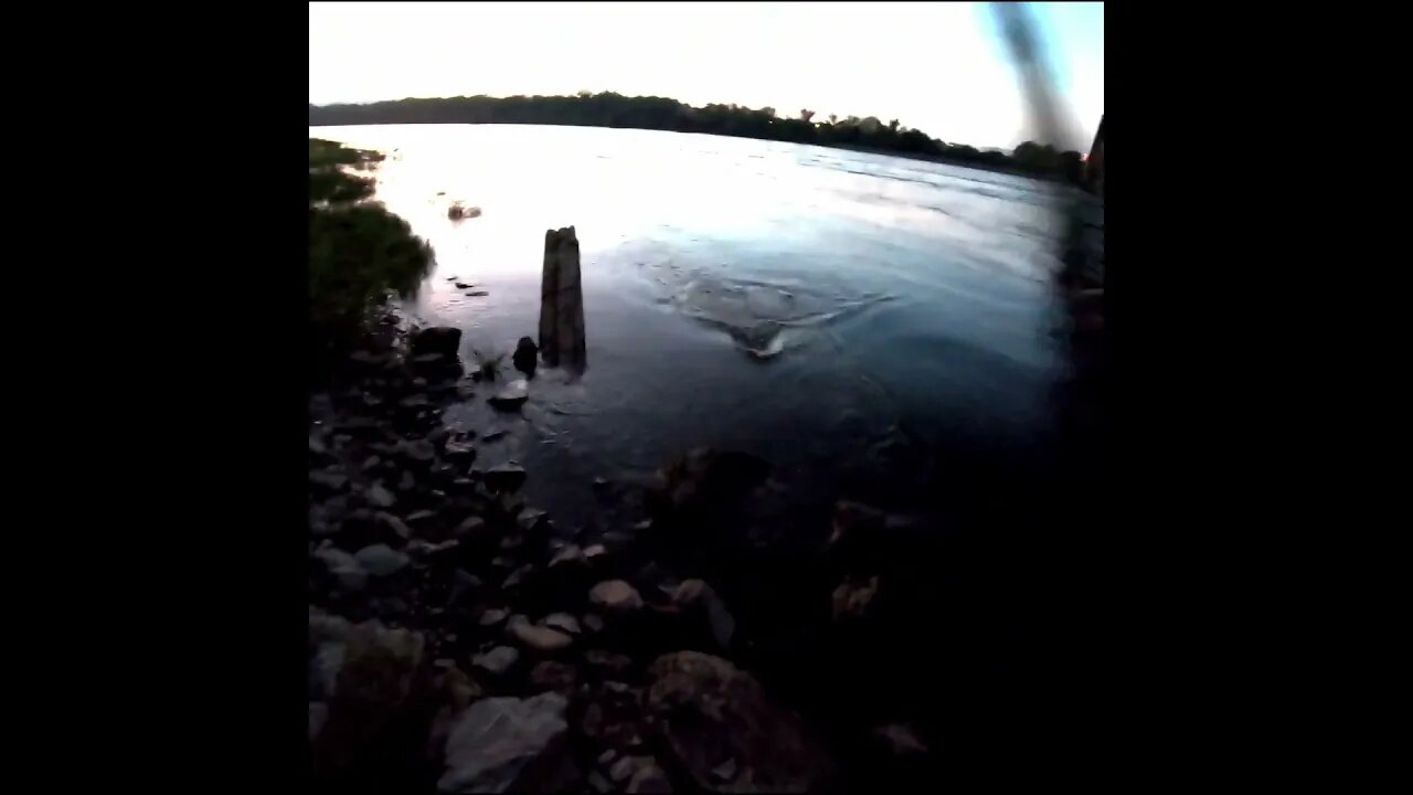 Big Fish beneath Chickamauga Dam