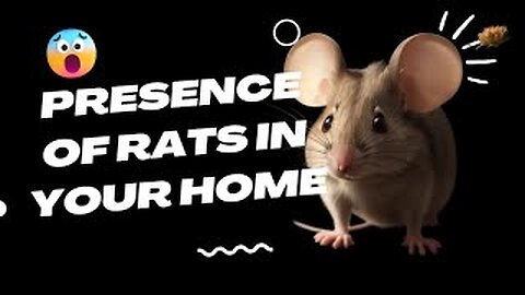 The Spiritual Meaning of the Mouse Inside the House