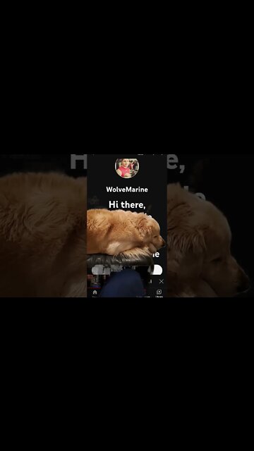 No, only murder is murder. #notsorry