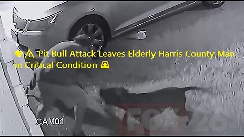 🐶⚠️ Pit Bull Attack Leaves Elderly Harris County Man in Critical Condition 🚨