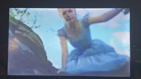 More arrest and executions update