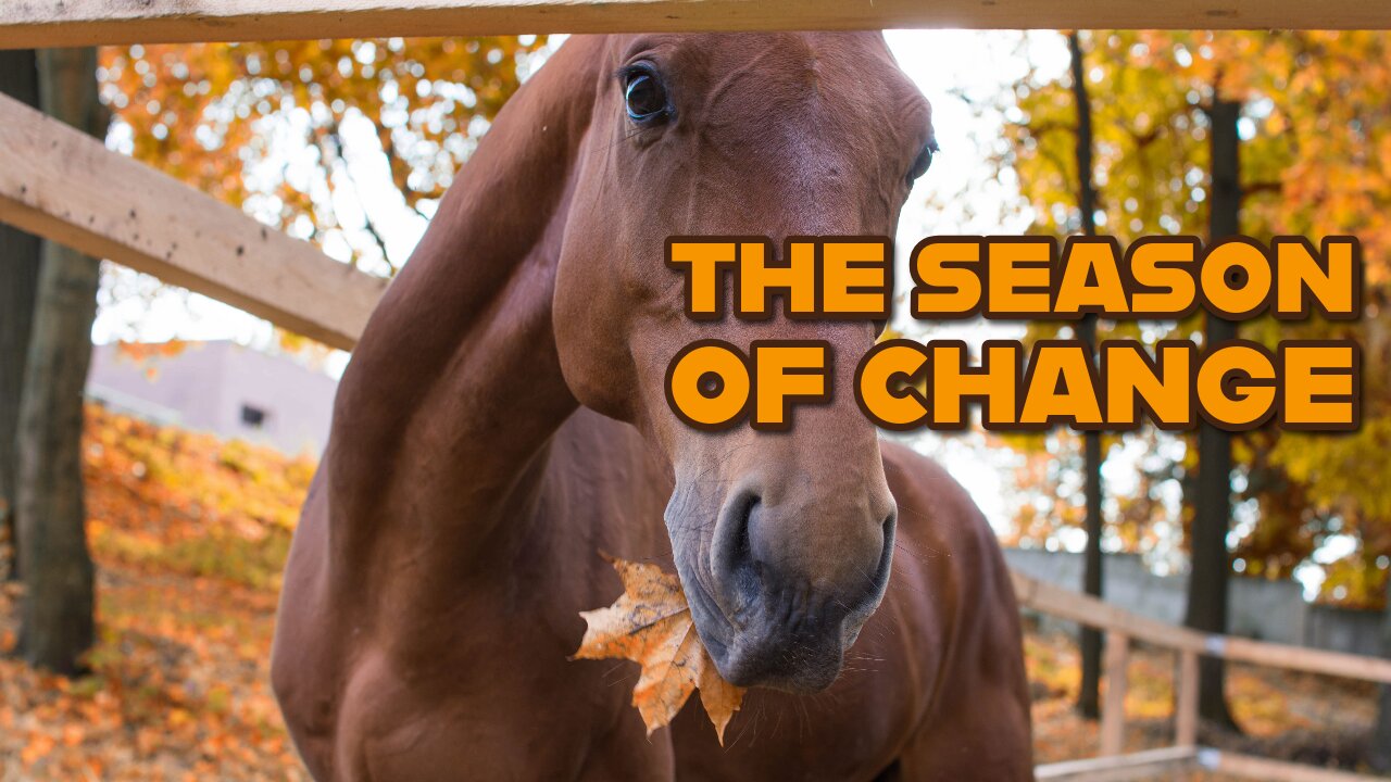 Why This Harvest Season Looks Different