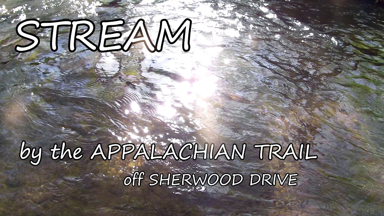 Stream by the Appalachian Trail off Sherwood Drive