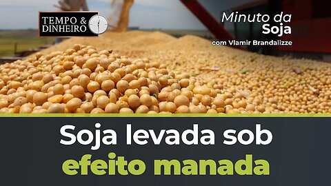 Soja levada sob efeito manada