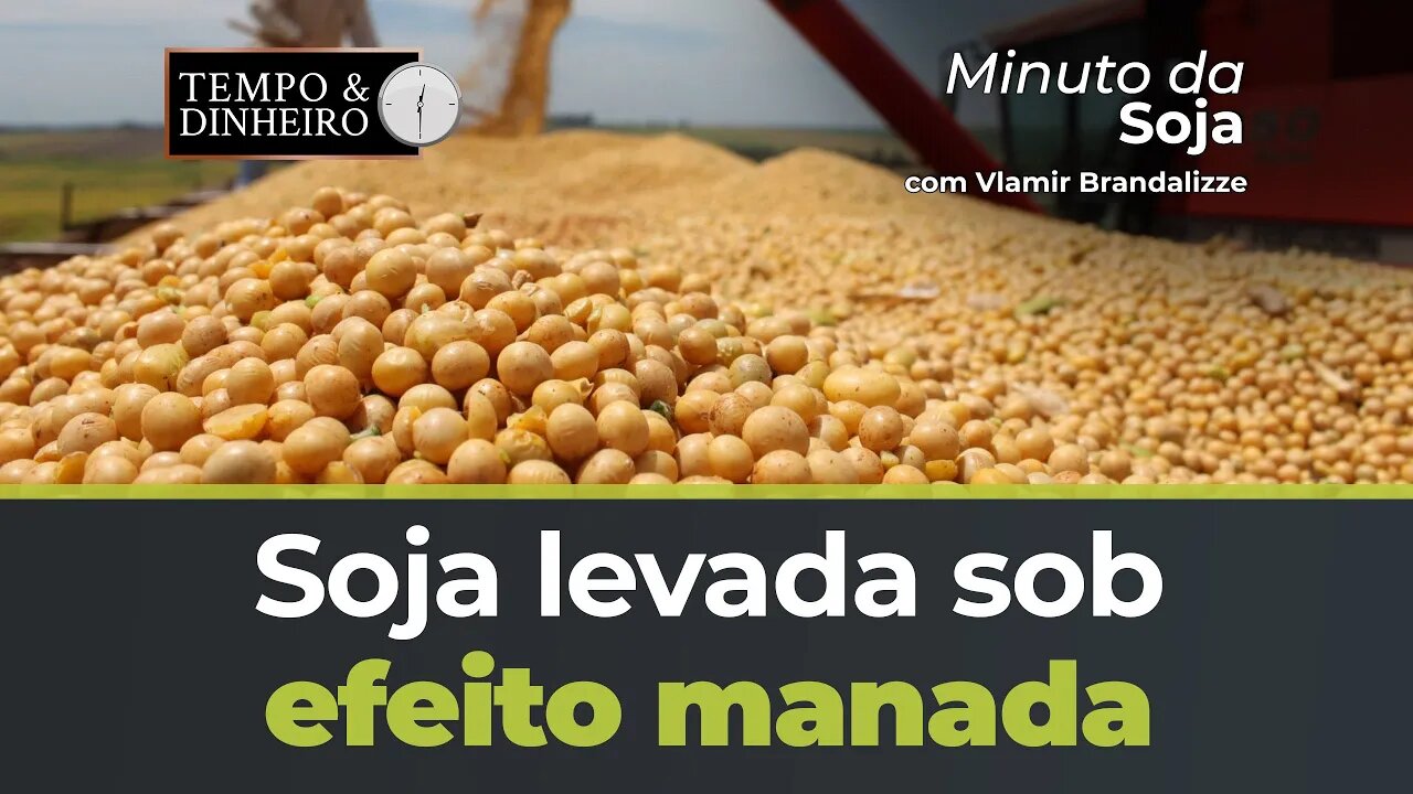 Soja levada sob efeito manada