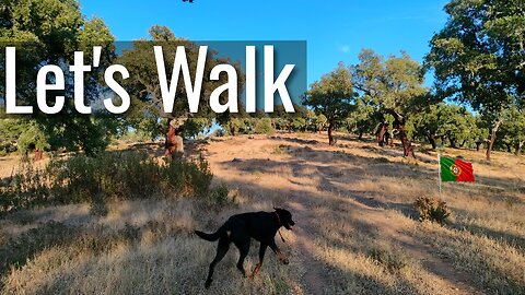 Join me on my daily dog walk #talk Central Portugal
