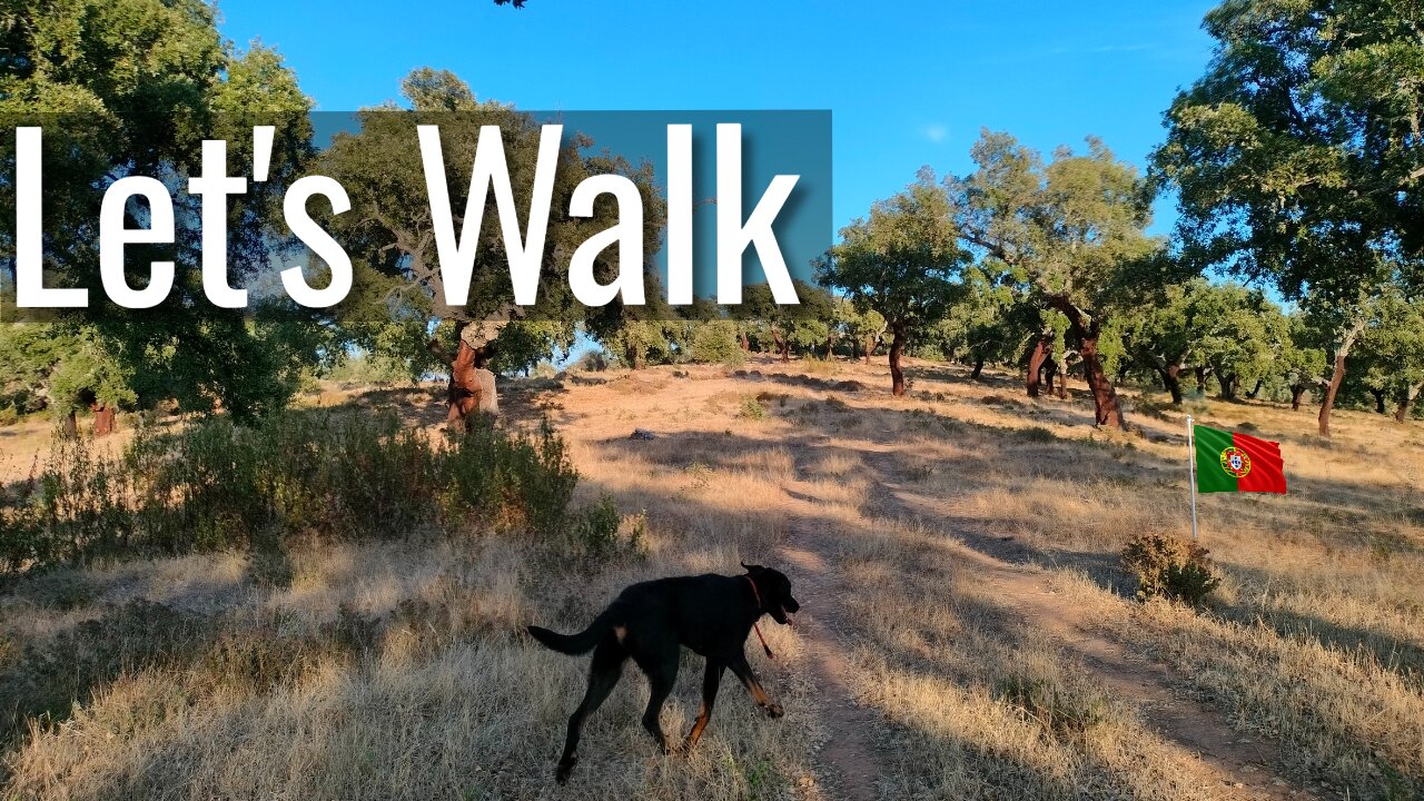 Join me on my daily dog walk #talk Central Portugal