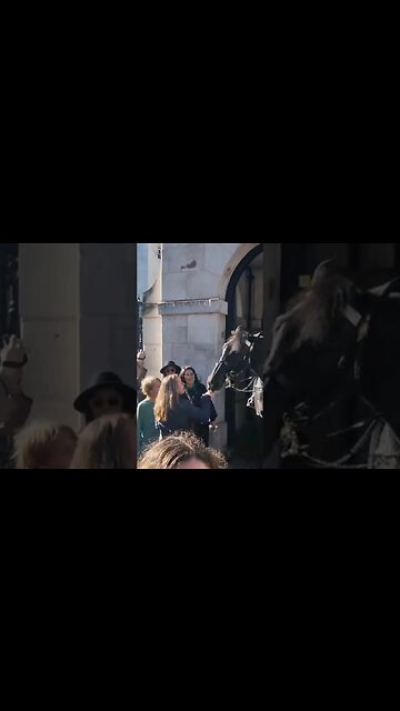 Horse bites finger #horseguardsparade