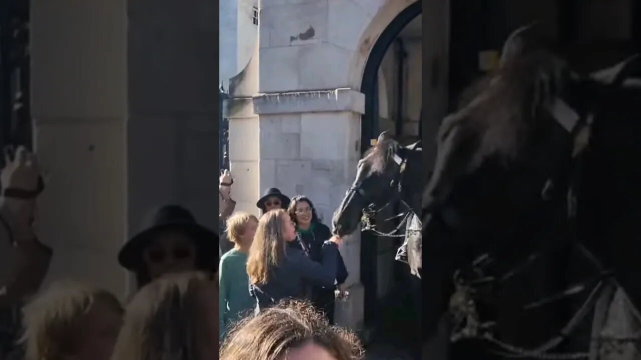 Horse bites finger #horseguardsparade