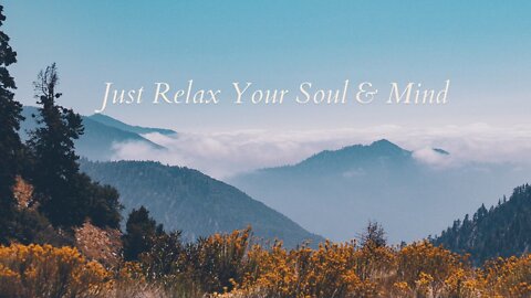 Relax Your Mind - Stress Free Study And Meditation music