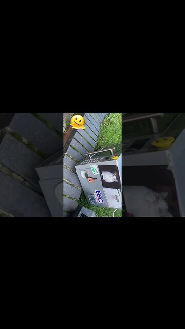 WILL IT NUKE 001 - DUKE RAVEDUMP.COM COFFEE BREAKS #techno #acidsound #tb-303 #banger #microwave #op