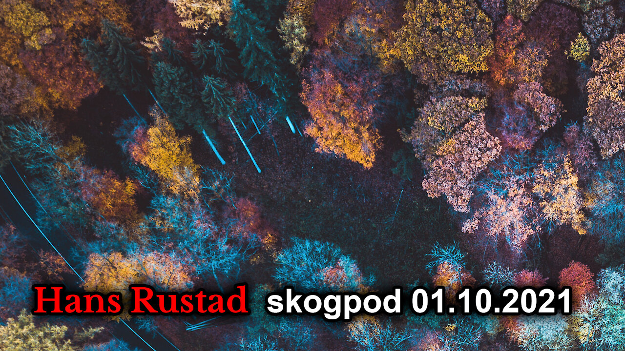 Skogpod 1.oktober: Meningskorridoren erobrer kulturlivet uten at du merker det