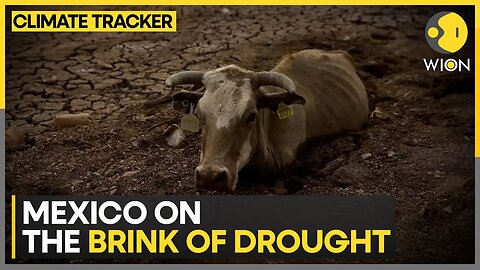 Drought in Mexico: Poor rains, farmer face tough times | WION Climate Tracker