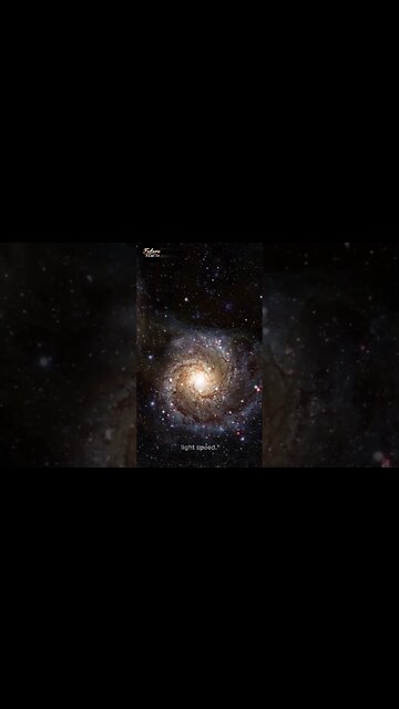 What If the Multiverse Was Real? || #112