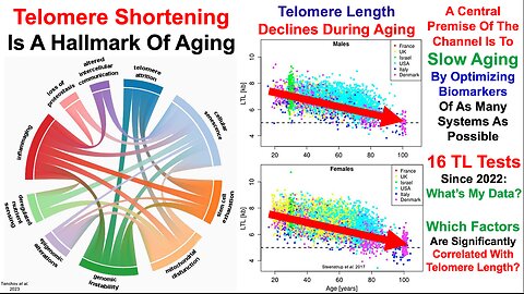 Telomere Length Test #16: My Best Data Yet