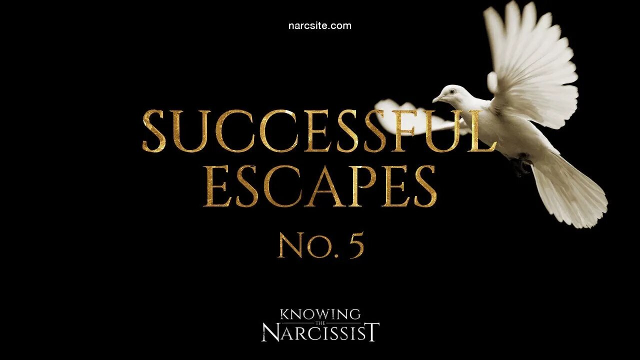 Successful Escapes : 5