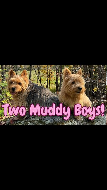 From Clean to Muddy in 2 Seconds!