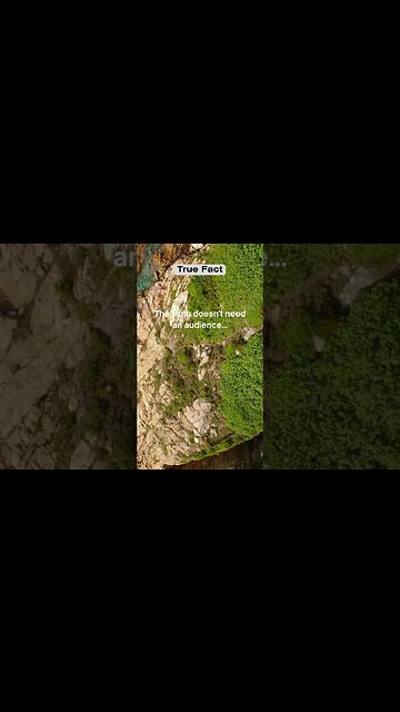 The truth doesn't need an audience #shorts #facts #trueline