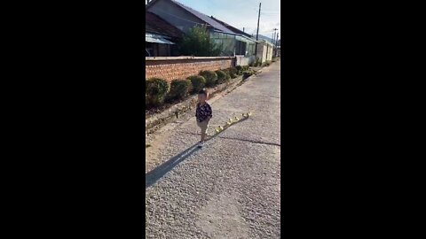 Little boy strolling with his Pets