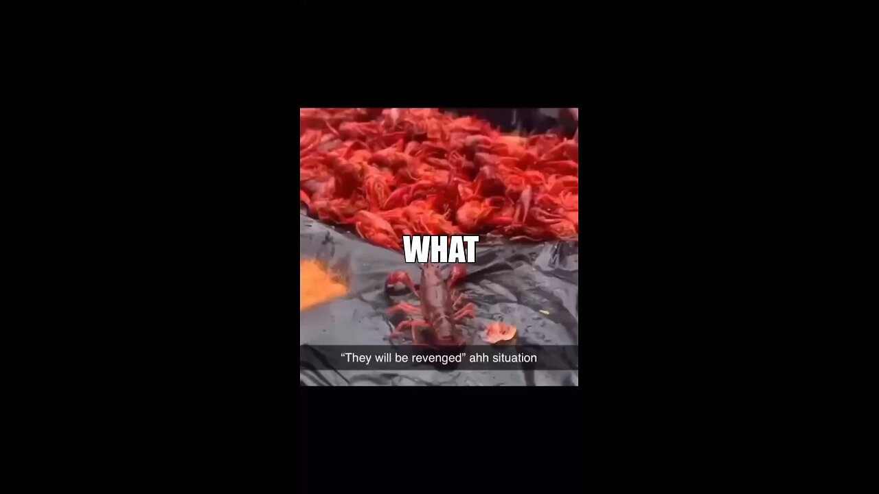 WHAT