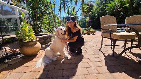 Live With Penelope & Viral Energy Institute