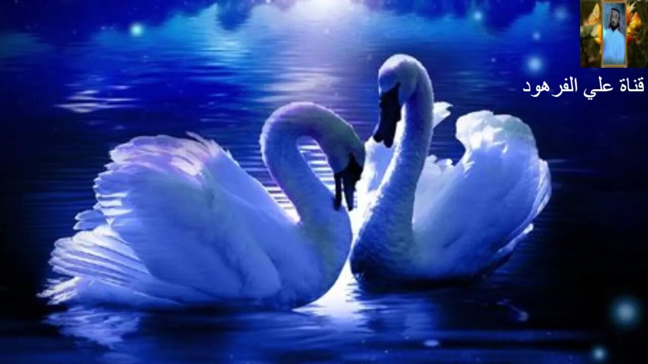 اجمل صوت في تلاوت القرآن الكريم قناة علي الفرهود@ALIAL-FARHOUD