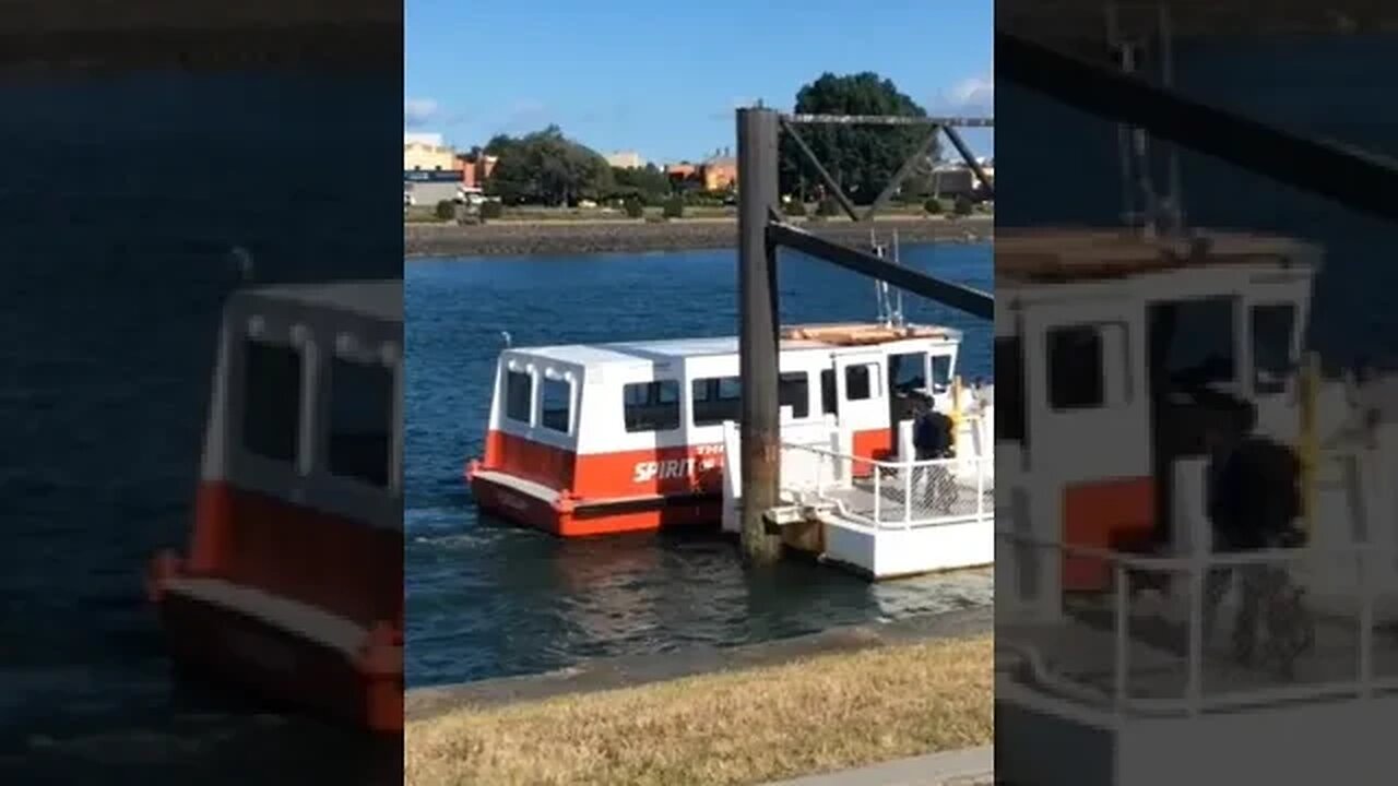 River Ferry Devonport Tasmania. #trending #shorts #merchantnavy #lifeatsea #tuglife #ocean #ferry