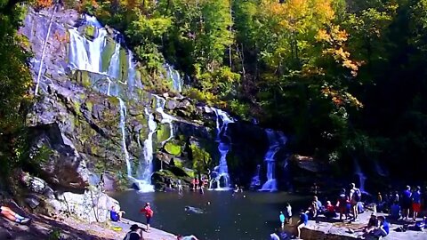 Fourth Falls Timelapse at the WILDS in Brevard, NC
