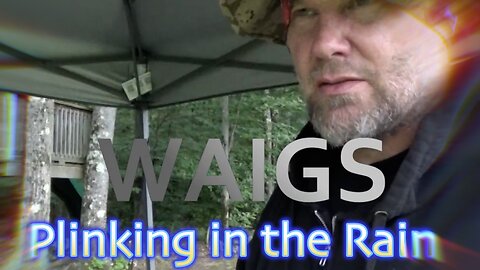WAIGS Plinking in the Rain