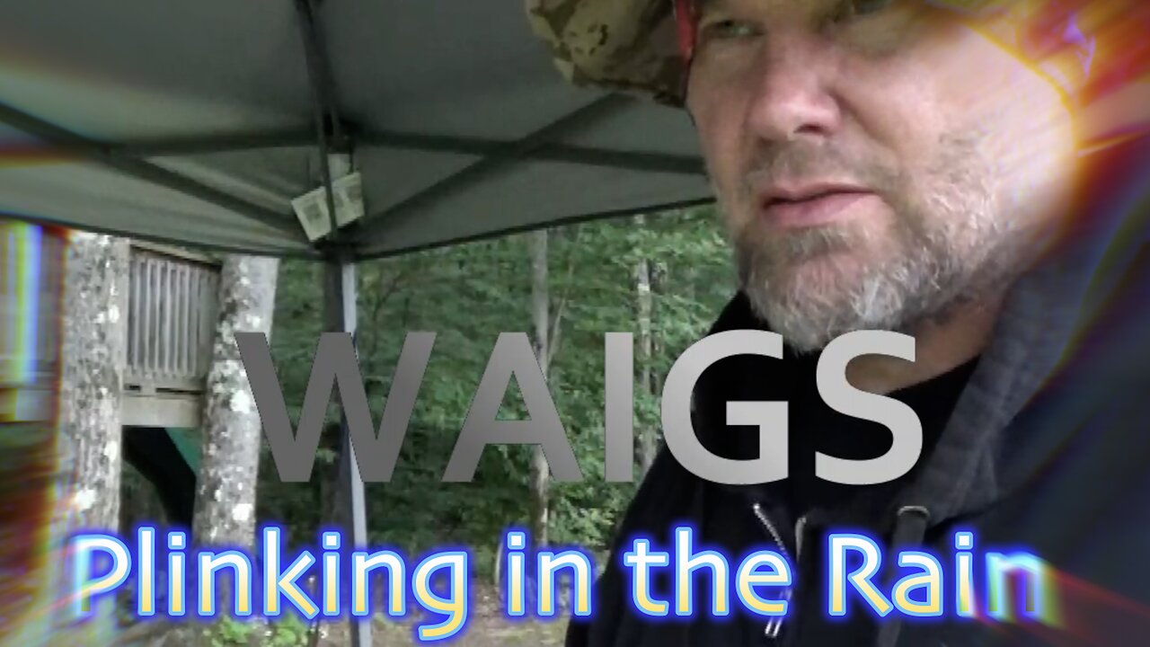 WAIGS Plinking in the Rain