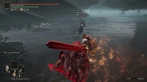 Elden Ring invasions #103