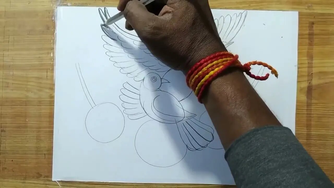 how to draw a pigeon and rose flowers with pencil sketch