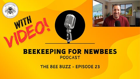 The Bee Buzz - Episode 23