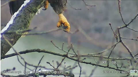 Hays Eagles Mom s Foot Dangling 2023 01 23 12:46pm