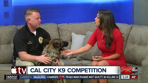 Cal City PD in the running for new SUV for K9 unit
