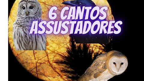 6 cantos assustadores pra não ouvir a noite 🌙 🌙 🌙 🌙 🌙