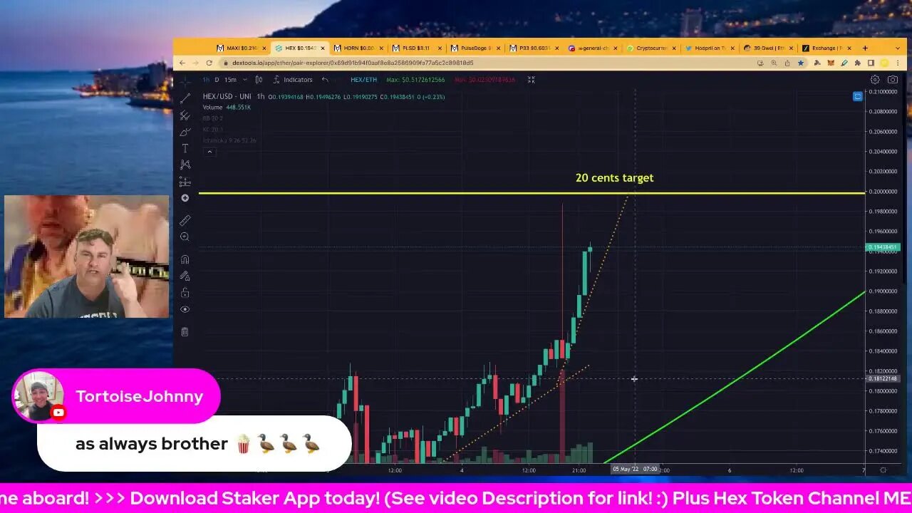 Hex Price Prediction, Analysis & LIVE Chart Watch!