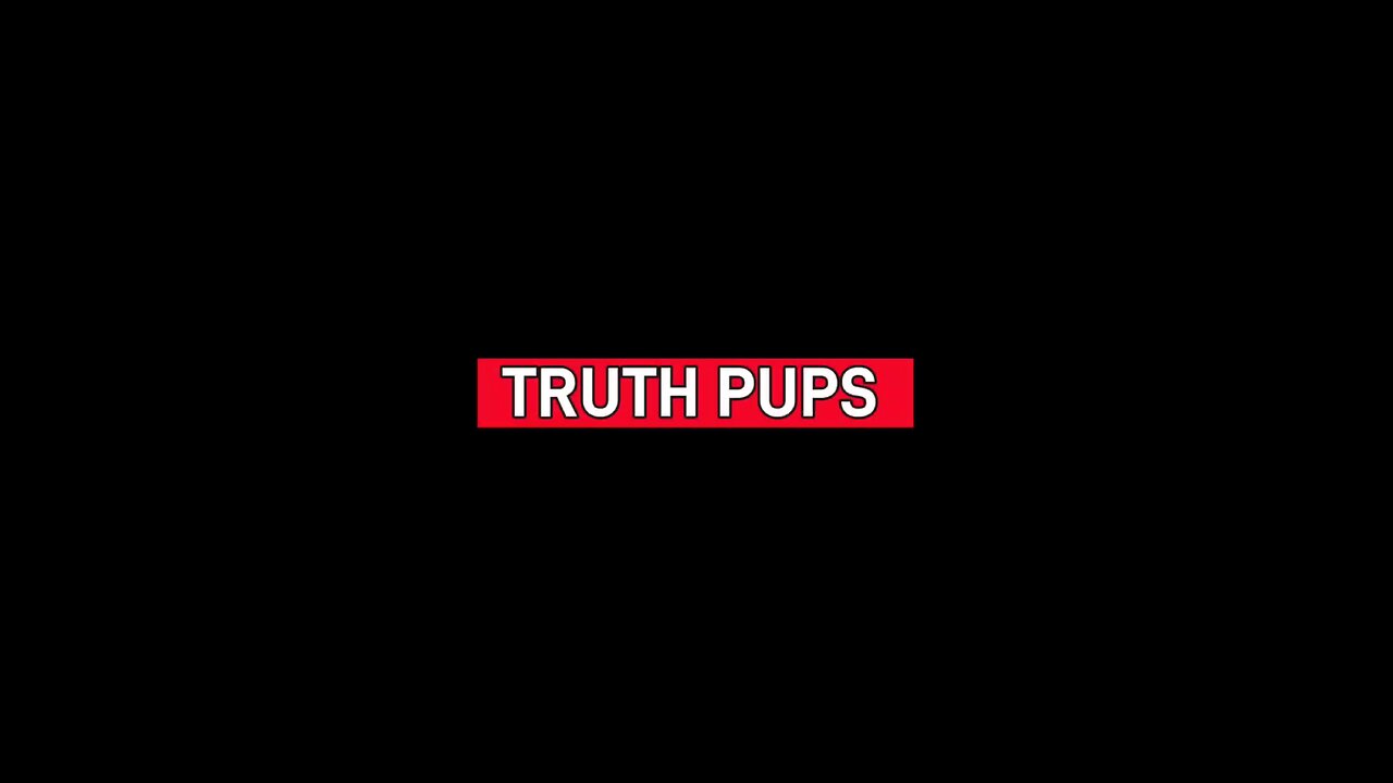 Truth Pups Update