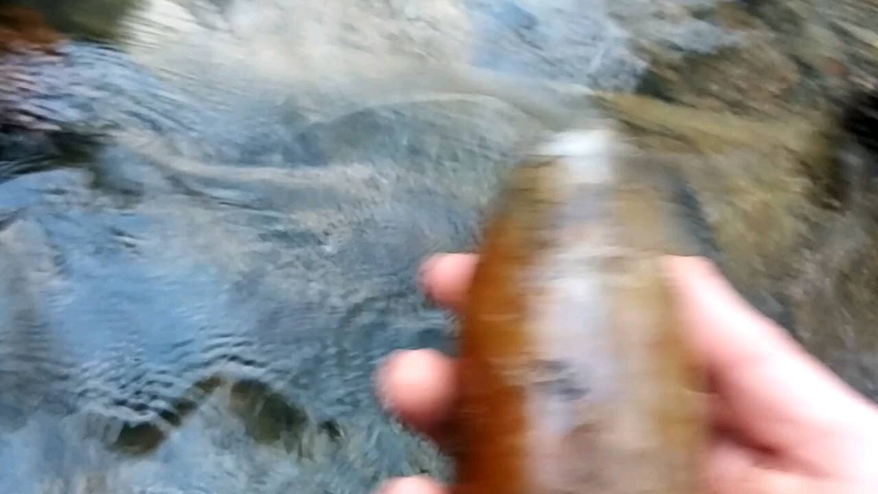 Small Creek Loaded With Bottles