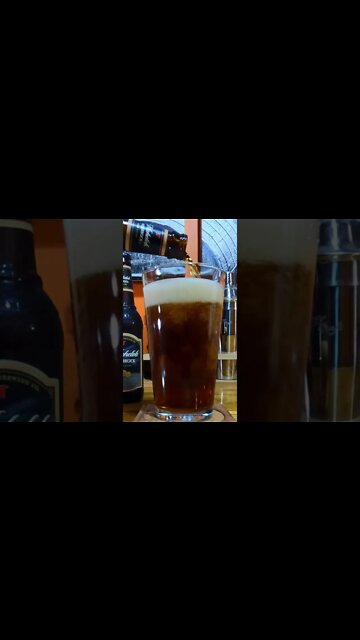 Michelob Amberbock Pour #shorts #shortvideo #beer