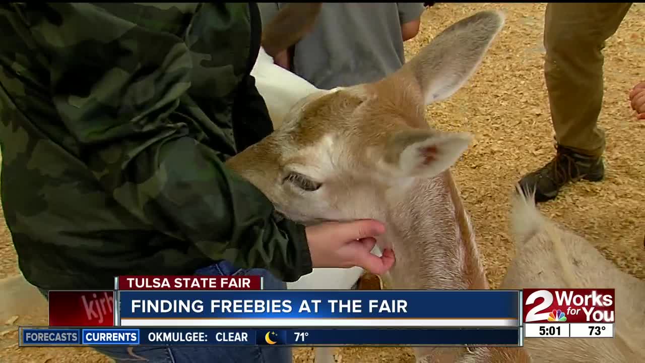 Finding free activities at the fair