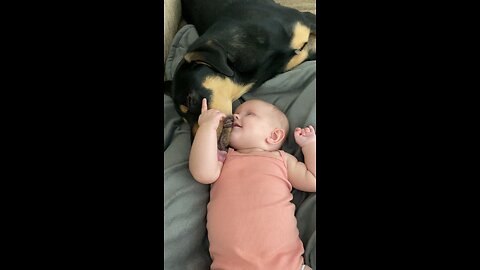 Baby and puppy