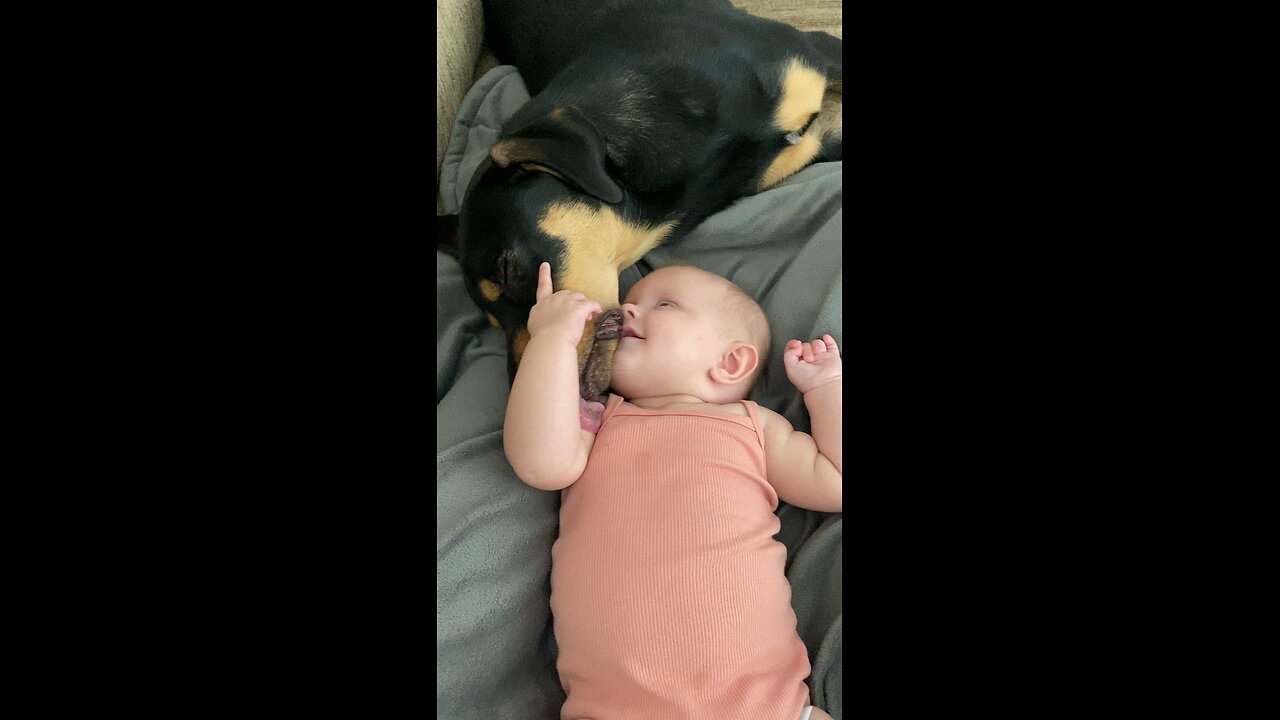 Baby and puppy