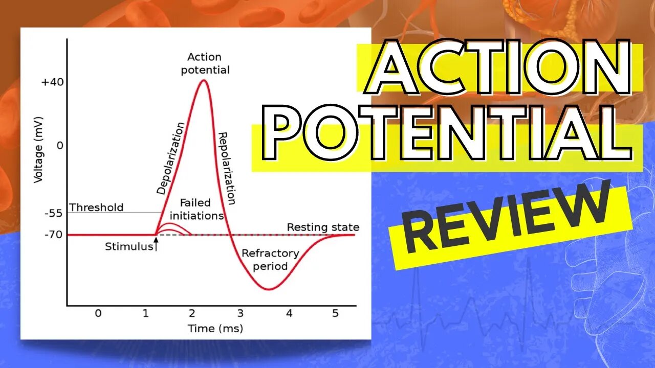 013 A Review of the Action Potential