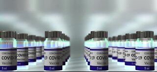 Pfizer vaccine may not be free once pandemic ends
