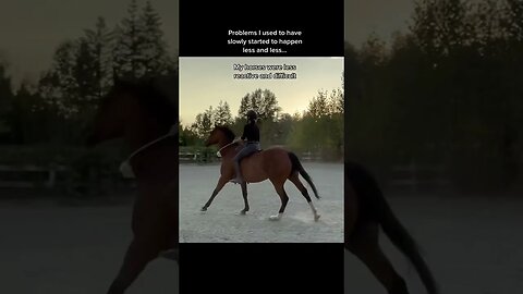 The Other Side of Horsemanship: A Kinder Path