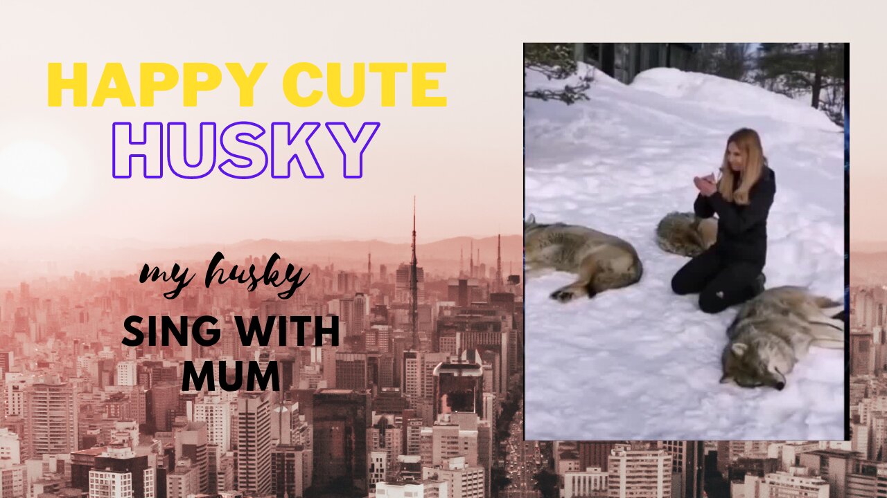 Happy cute Husky, my husky sing with mum