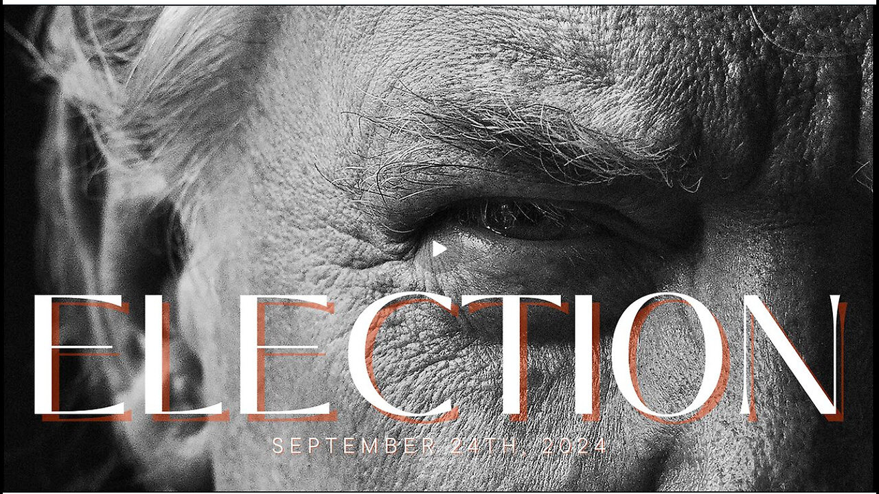 Phil Godlewski -Election - September 24th, 2024